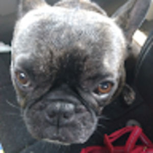 Meet your Posher, Addides